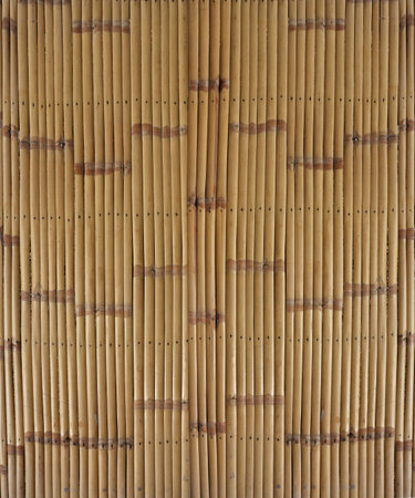 dry bamboo texture pattern wall backgroundの写真素材