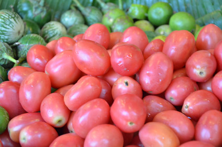 eggplant ingredient for papaya salad cookingの写真素材