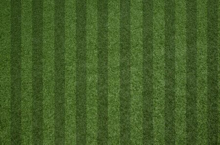 closeup fresh green grass texture pattern background for football fieldの写真素材