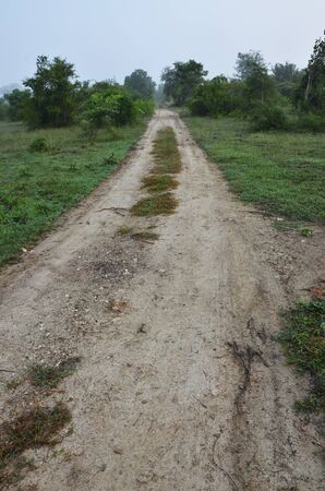 Road to the farm in countrysideの写真素材