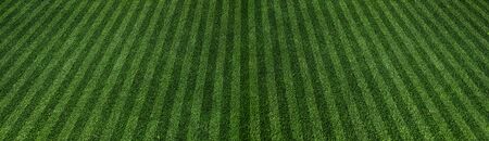 green grass turf as floor texture background
