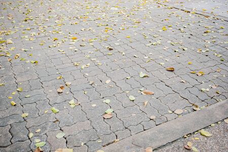 leaf texture backgrounds