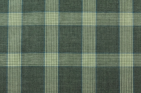 Canvas fabric texture