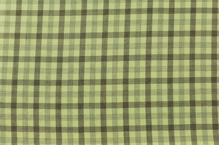 Canvas fabric texture