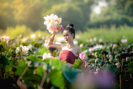 Asian woman collecting lotus flowers and she wear Traditional Thai dresses, Thailandの写真素材