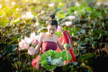 Asian woman collecting lotus flowers and she wear Traditional Thai dresses, Thailandの写真素材