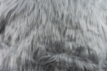 Gray Fur Seamless Background  Texture Pattern for your designの写真素材