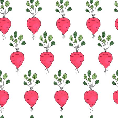 Hand-drawn vector seamless pattern with radish isolated on white background. Farm vegetables, healthy food, organic.のイラスト素材