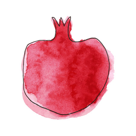 Pomegranate watercolor half sliced fruit botanical hand drawn vector illustration background. Rosh Hashanah card. Vegetarian eco food product, organic nutrition. For recipe book, floral menu cover.のイラスト素材