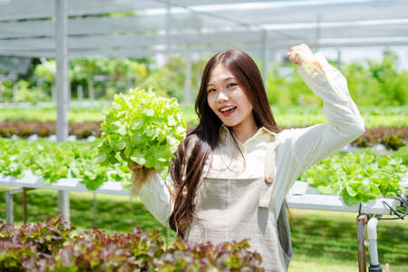 Asian young woman Gardener holding vegetable basket in greenhouse garden, Owner working in hydroponic organic farm and checking the harvest .Concept new business, healthy food, vegetarian.の写真素材