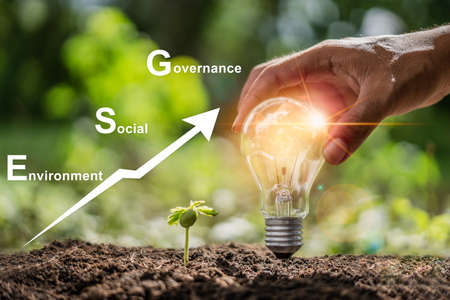 ESG Concept of sustainable corporate development by caring for the environment society and good governance. the bright light bulb guides the future to growth up of seedlings.の写真素材