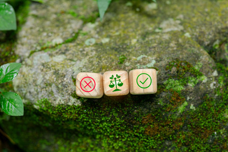 Environmental Law, Environmental Regulations for Sustainable Business, Organization and Industry, Global Justice Common Sense on What Should or Should Not Be Done to Maintain Green Development.の写真素材