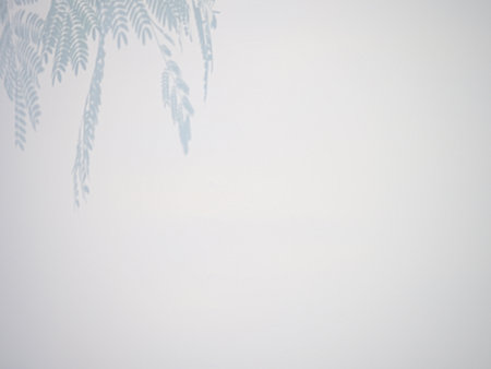 Shadow of palm leaves on white wall background. Copy space for text.