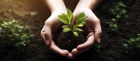 Hands holding young green plant growing in soil. Earth day conceptの素材