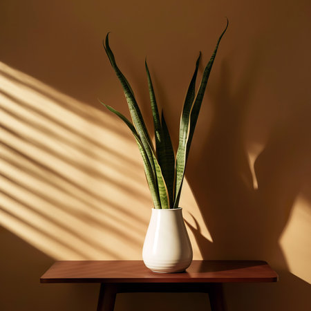 Sansevieria in a white vase on a wooden shelfの素材