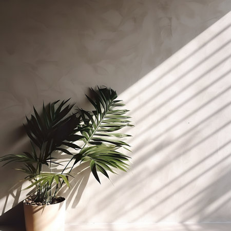 green palm leaves in a pot on a white wall background with shadowsの素材