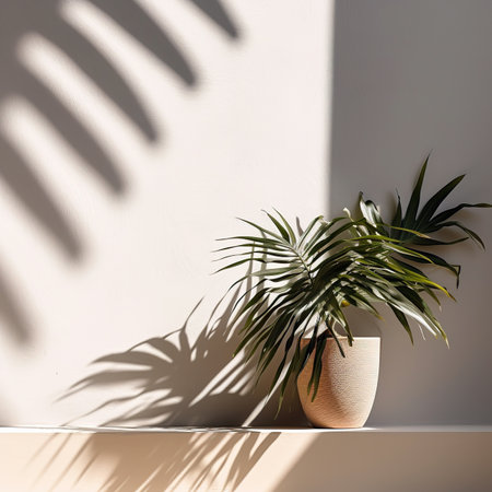 Palm leaves in a vase on a white wall background with shadowsの素材
