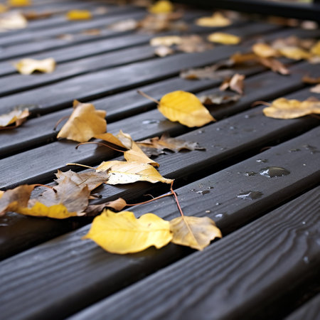 Autumn leaves on a wooden bench in the park. Autumn backgroundの素材