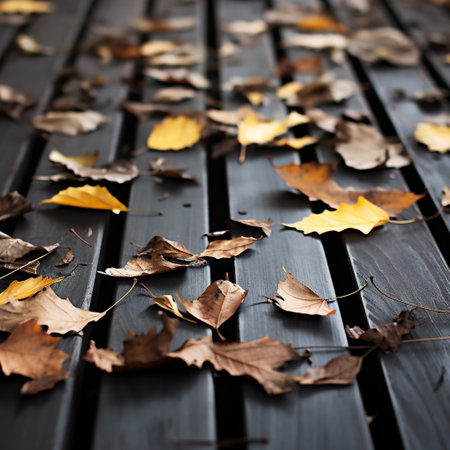 Autumn leaves on wooden planks. Fall background. Selective focus.の素材