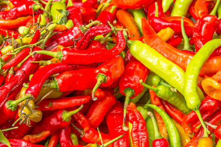 red chilli backgroundの写真素材