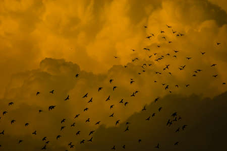 Stormの写真素材