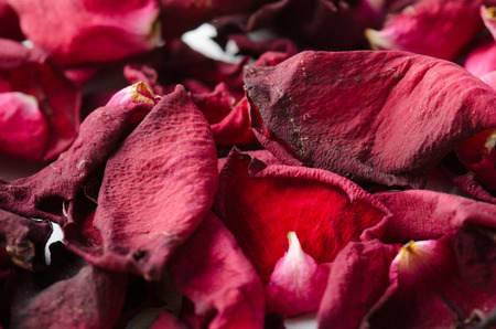 Roses petal backgroundの写真素材