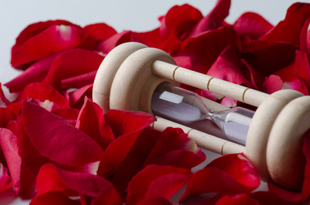 Time of life with roses