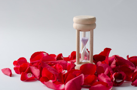 Time of life with roses
