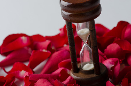 Time of life with roses