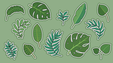 Vector set tropical leaves palm summer exotic jungle green leaf illustration. Tropical plant botanical Hawaii nature decoration floral green leaves. Flower tropic beach monstera tree.のイラスト素材