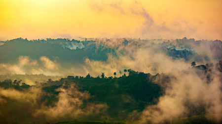 Misty dawn over the Valley and the forest