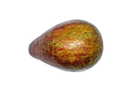 Fresh avocado fruit on white background.