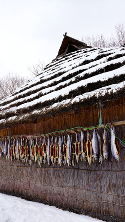 dried salmon fish hanging to dry outdoors.の写真素材