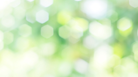Fresh Spring green bokeh background.