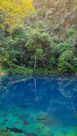 Lom Phu Kiew is an emerald pool at Lampang province.の写真素材
