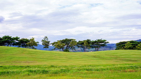mountain range and meadow at Singha park Chiang rai, Thailand.の写真素材