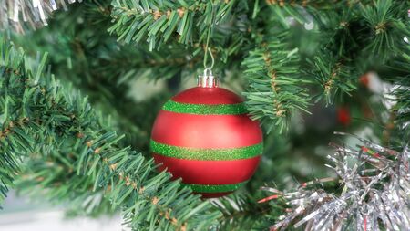 Red ball hanging on a Christmas tree.の写真素材
