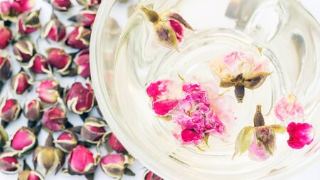 A cup of tea pink rose on a white background.の写真素材