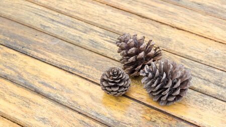 Brown pine cone on a wooden table.の写真素材