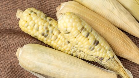 Fresh waxy corn on a wooden table.の写真素材