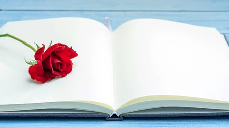 Red rose on a notebook and blue wooden table.の写真素材