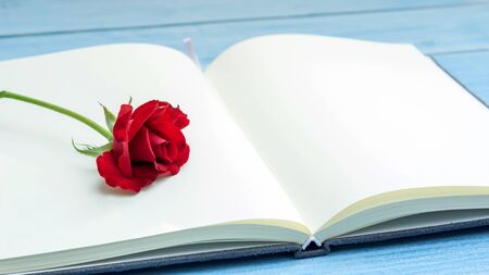 Red rose on a notebook and blue wooden table.の写真素材