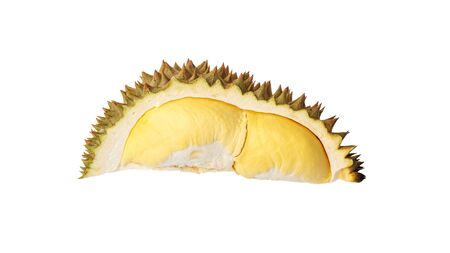 Ripe durian fruit on a white background.の写真素材