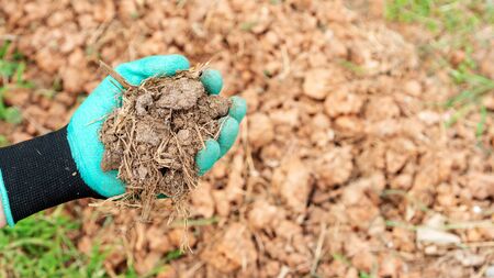 Men holding an organic fertilizer for a plant.の写真素材