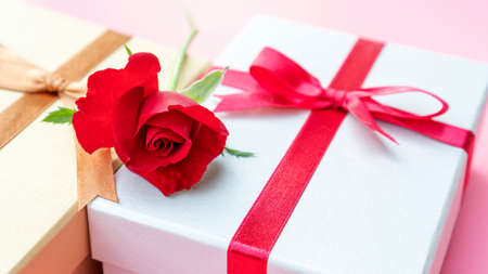 Red rose and gift box on a pink background.の写真素材