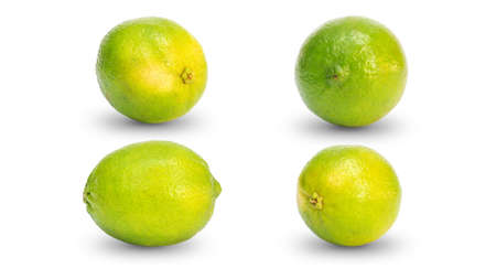 Green lime on a white background.の写真素材