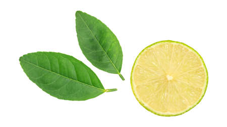 Green lime and leaf on a white background.の写真素材