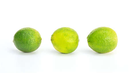 Green lime on a white background.の写真素材