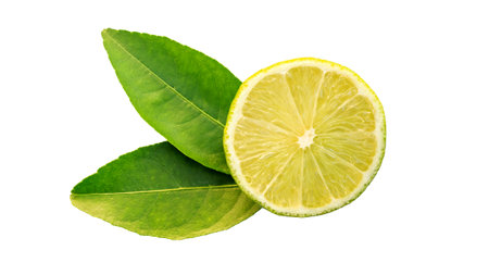 Green lime and leaf on a white background.の写真素材