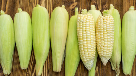 Pure white corn on a wooden table.の写真素材